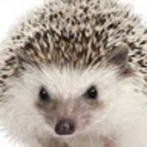 Meet your Posher, Zoe